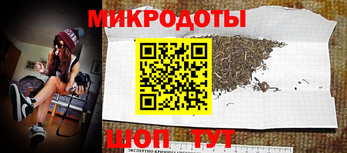 Псилоцибиновые грибы Psilocybine cubensis  Вход с VPN  Череповец 